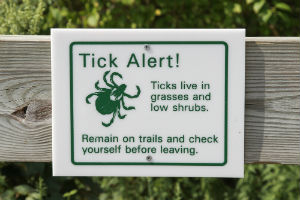 tick alert sign