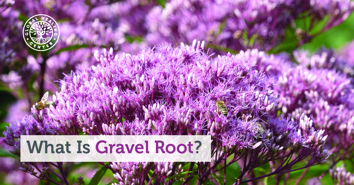 what-is-gravel-root