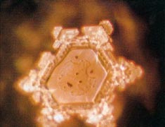 A structured water molecule after exposure to positive language with name of positive deceased person ‘Mother Teresa’ placed on glass container of water. From ‘The Message From Water’ by Masaru Emoto.