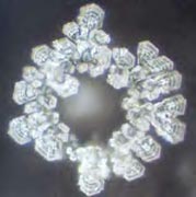 An unstructured water molecule from Fountain in Lourdes, France. From ‘The Message From Water’ by Masaru Emoto.