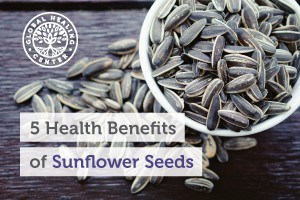 A cup of sunflower seeds overflowing. Sunflower seeds promote cardiovascular health and promote healthy cholesterol levels.