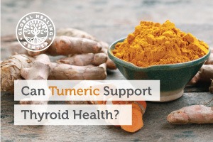 A bowl of organic turmeric powder. Turmeric also been shown to support brain health, thyroid health, and encourage a balanced mood.