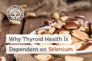 A plate is full of Brazil nuts. These nuts are high in the selenium which is an essential mineral that supports thyroid health.