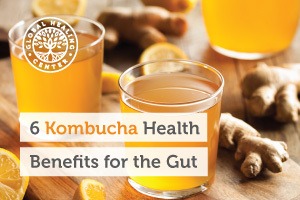 Two glasses of kombucha. Kombucha is made from bacterial colonies and holds a significant amount of live probiotic strains.