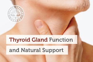 A man checking his thyroid. The thyroid gland releases hormones that control metabolism.