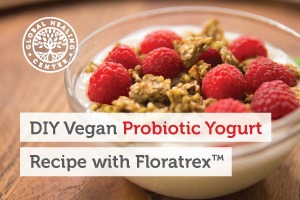 A bowl of vegan probiotic yogurt. This delicious recipe is a great substitute for dairy base store yogurt.