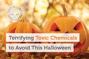 Two carved pumpkins. Toxic chemicals can be found in Halloween costumes, accessories, and decoration.