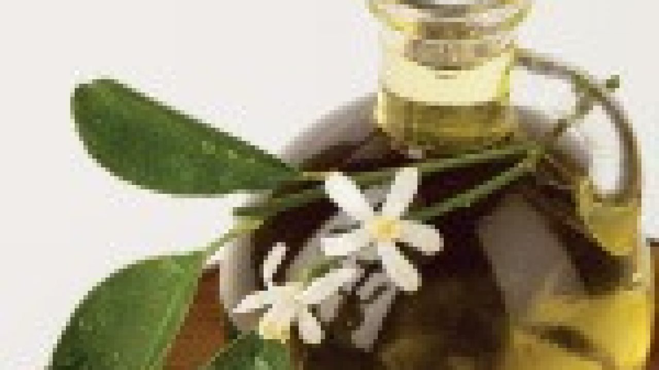 Foto de Neroli orange blossom essential oil in bottle. Fresh white