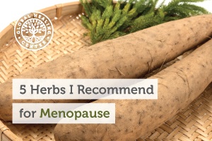 A tray of wild yam. Menopause can affect daily activities and mood. Here are 5 beneficial herbs for menopause that I recommend.