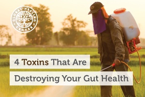 Pesticides have chemicals like glyphosate that are harmful to your gut health.