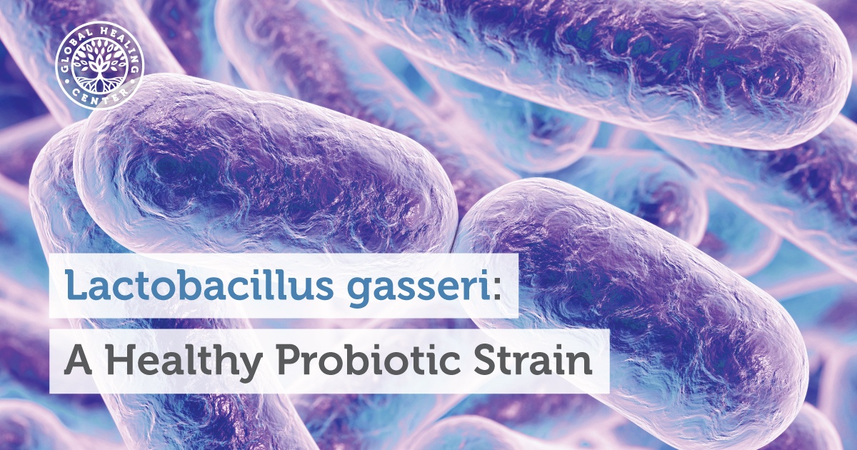Lactobacillus Gasseri A Healthy Probiotic Strain