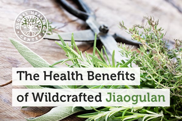 The jiaogulan herb is becoming increasingly well-known for supporting natural energy production and providing several additional wellness benefits.