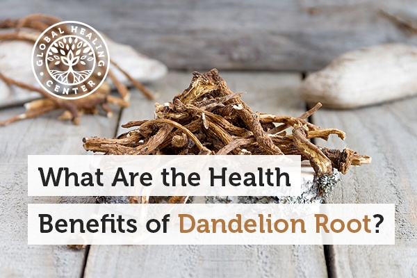 A pile of dandelion root. This root long speculated to have antioxidant activity and hepatoprotective properties.