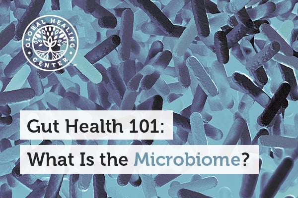 An image of bacteria. The Microbiome is the set of genes of the bacteria living in our bodies.