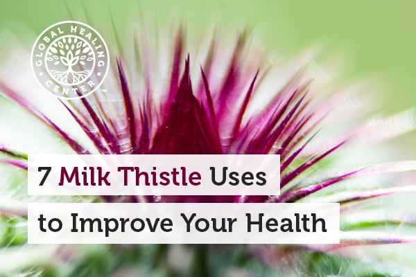 The benefits of milk thistle come from an antioxidant called silymarin.