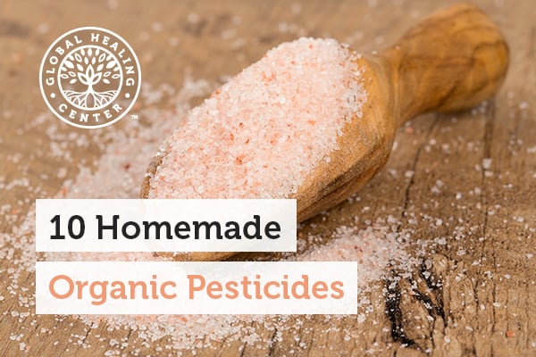 Himalayan crystal salt mixed with warm water is one of the homemade organic pesticides.