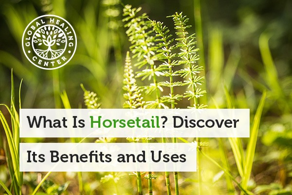 This ground horsetail may be used in several wellness-supporting ways because of all its potent natural health benefits.