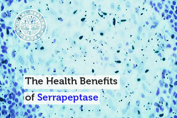 Serrapeptase is powerful enzyme that provides strong healthful properties.