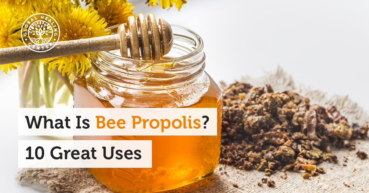 What is Bee Propolis? 10 Great Uses