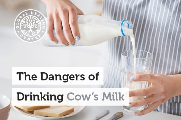 Cows milk is likely to be injected with antibiotic medicine.