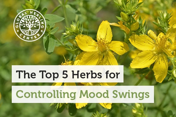 People use St. John's Wort herb to help with moods swings.