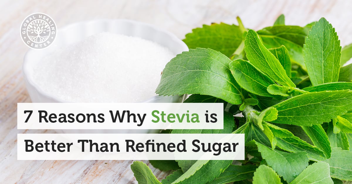 stevia plant sugar