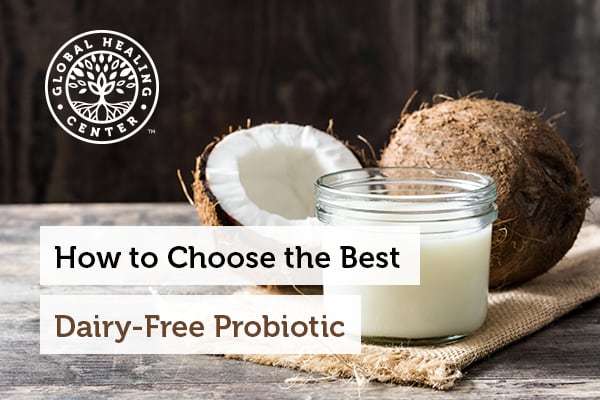 Coconut milk yogurt is a source of dairy-free probiotics