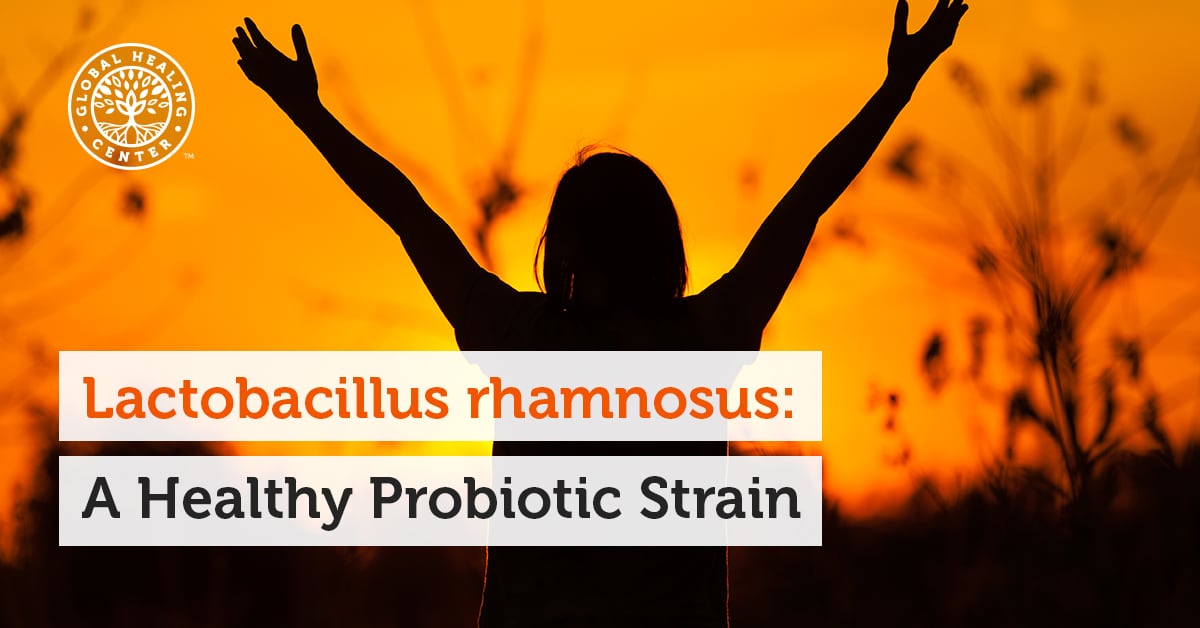 Lactobacillus rhamnosus: A Healthy Probiotic Strain