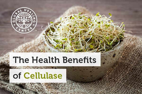 You need the enzyme cellulase to digest sprouts and other herbs.