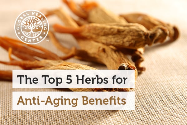 Ginseng is one of the best herbs for anti-aging benefits.