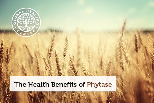 Phytase is commonly found in plant based foods.