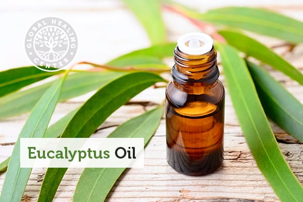 Bottle of eucalyptus oil which provides many health benefits.