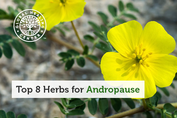 Several flowers and herbs that are good for andropause.
