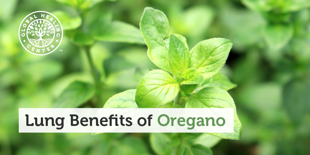 Lung Cleansing Benefits of Oregano