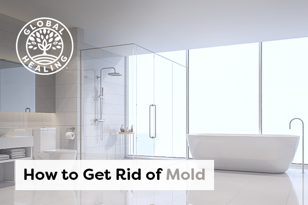 Natural Eco Friendly Ways To Get Rid Of Mold