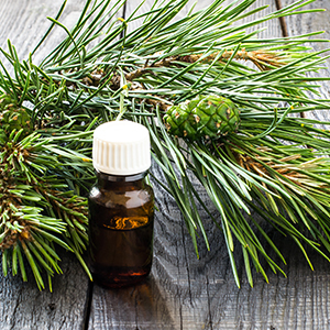 Pine needles with a small glass container over wooden background.